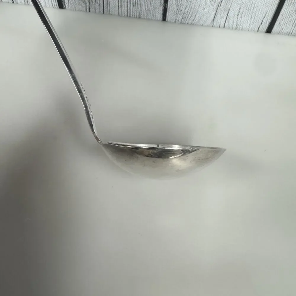 Wm. A. Rogers Oneida Valley Rose Ladle Silverplate Severing Dining